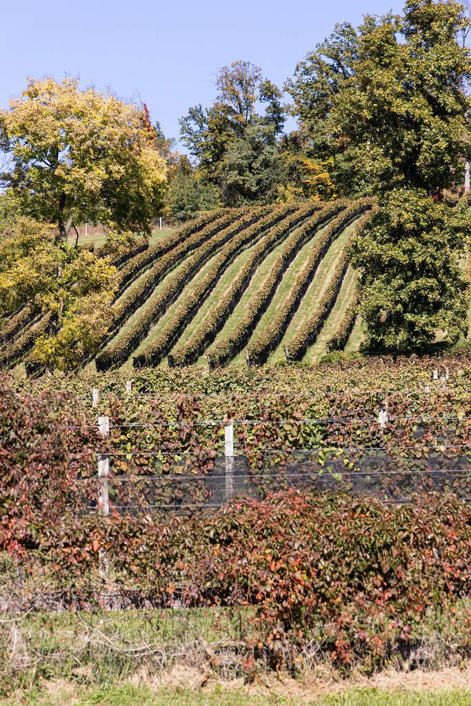 Hillsborough Vineyards & Brewery, Hillsboro, Loudoun County, Virginia