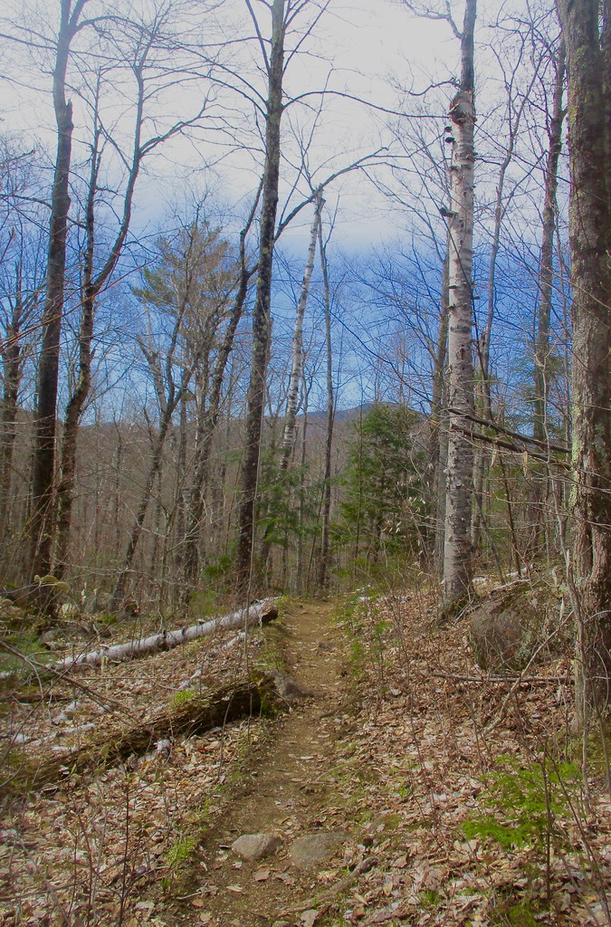 Owl's Head Lookout hike May 8, 2022 Thom Flickr