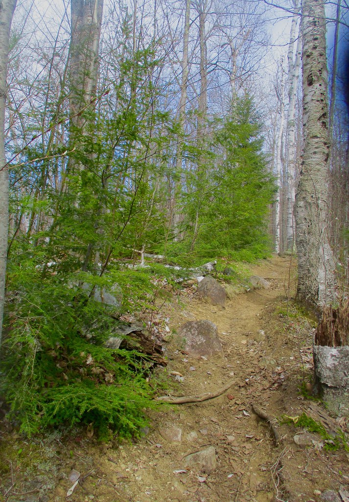 Owl's Head Lookout hike May 8, 2022 Thom Flickr