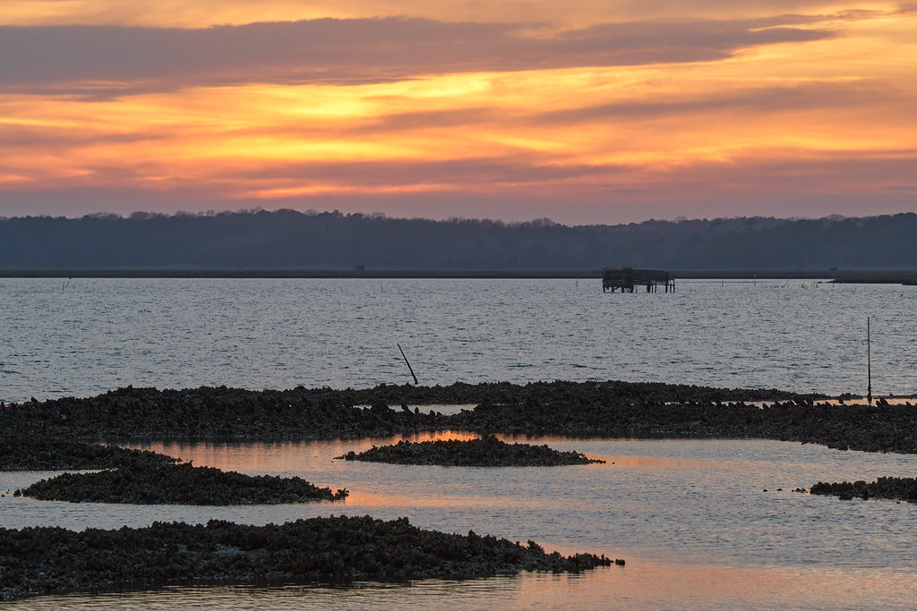 Chincoteague Bay Sunset County, VA Grigory Heaton Flickr