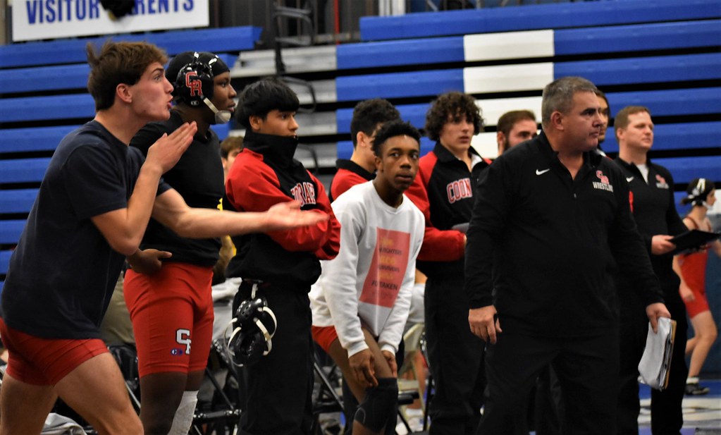 DSC_0526 Lisa Hargrave Flickr