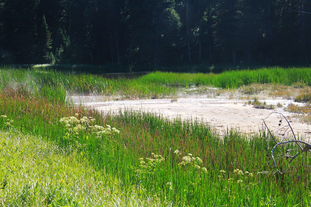 Snake River Hot Springs I know of four distinct thermal ar… Flickr