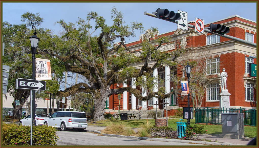 The Hanging Tree of Brooksville, FL In Hernando County, a … Flickr