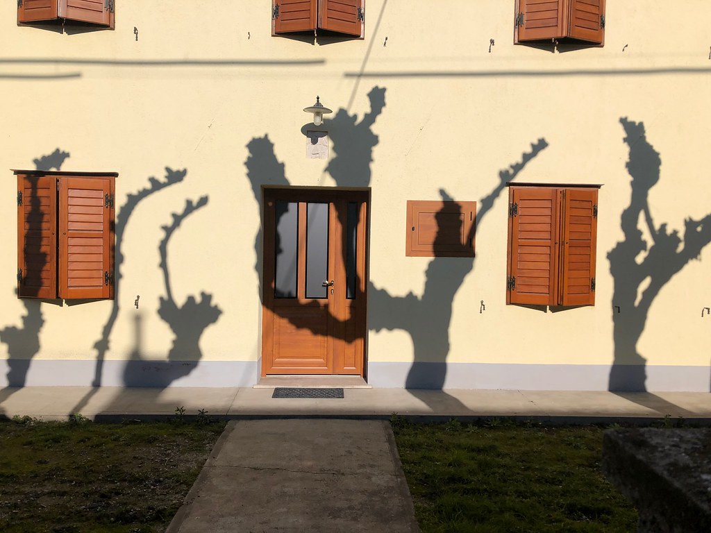 IMG_1987 Danny Burdett Flickr