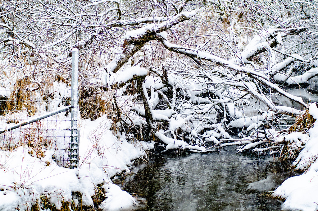 Coldwater crossing out in the snow marshall travis Flickr