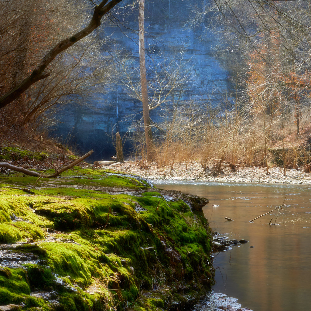 Mossy Bank Boone Creek curves through the and around… Flickr