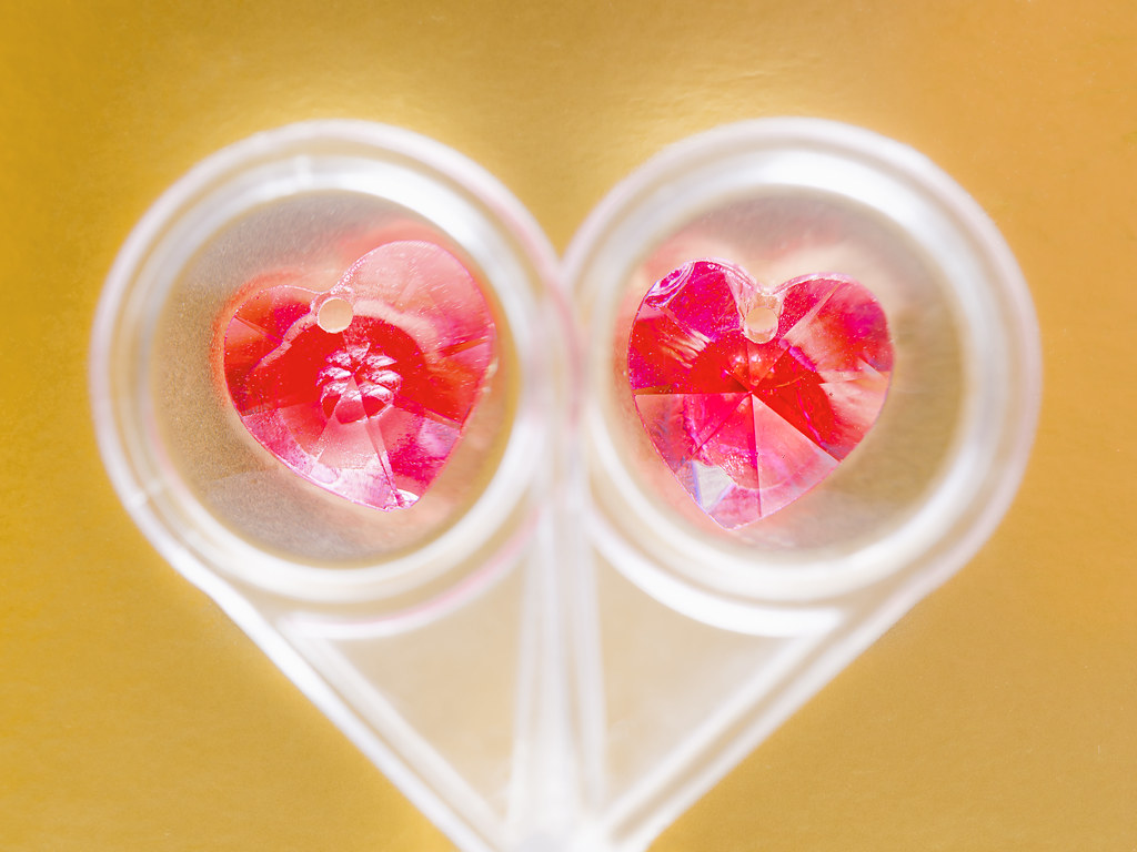Love Goggles macromondays Heart The Look of Love, or rat… Flickr