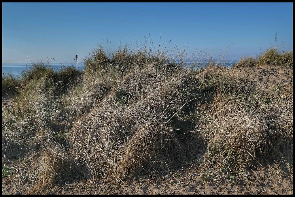 Llandudno West Parade Ian Photos Flickr