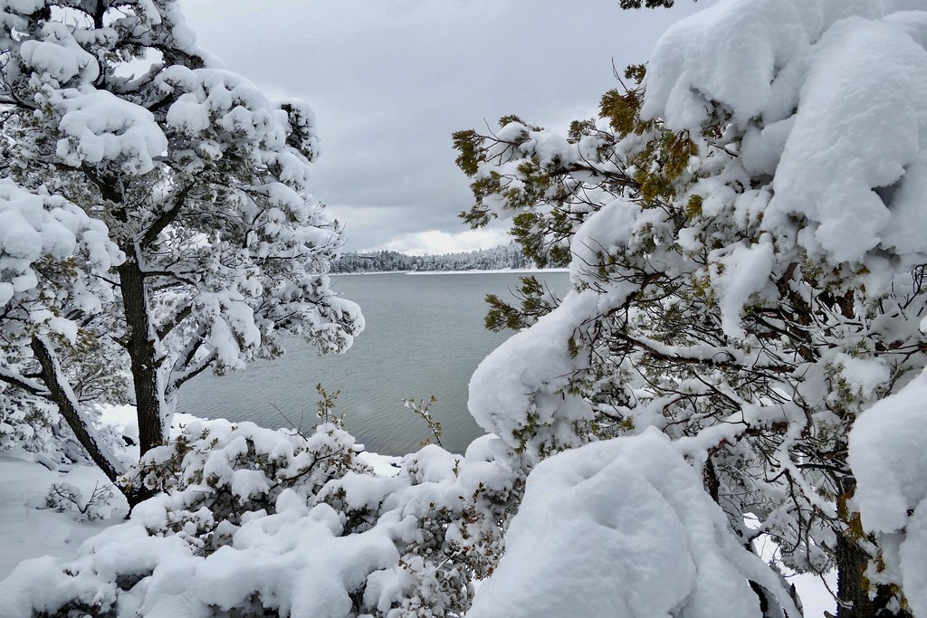 Heavy snow Show Low Lake in Arizona Art by Bart Flickr