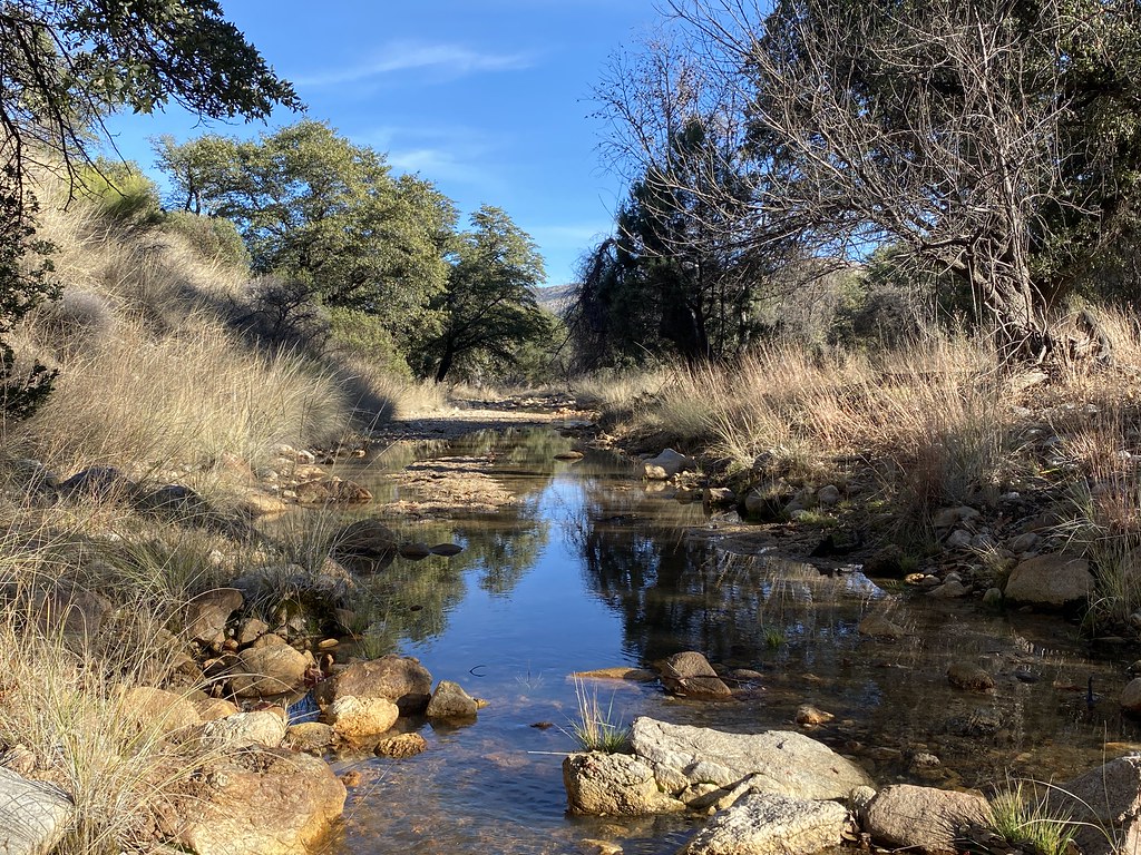 Miller Creek Miller Creek Trail Saguaro National ParkEa… Lars