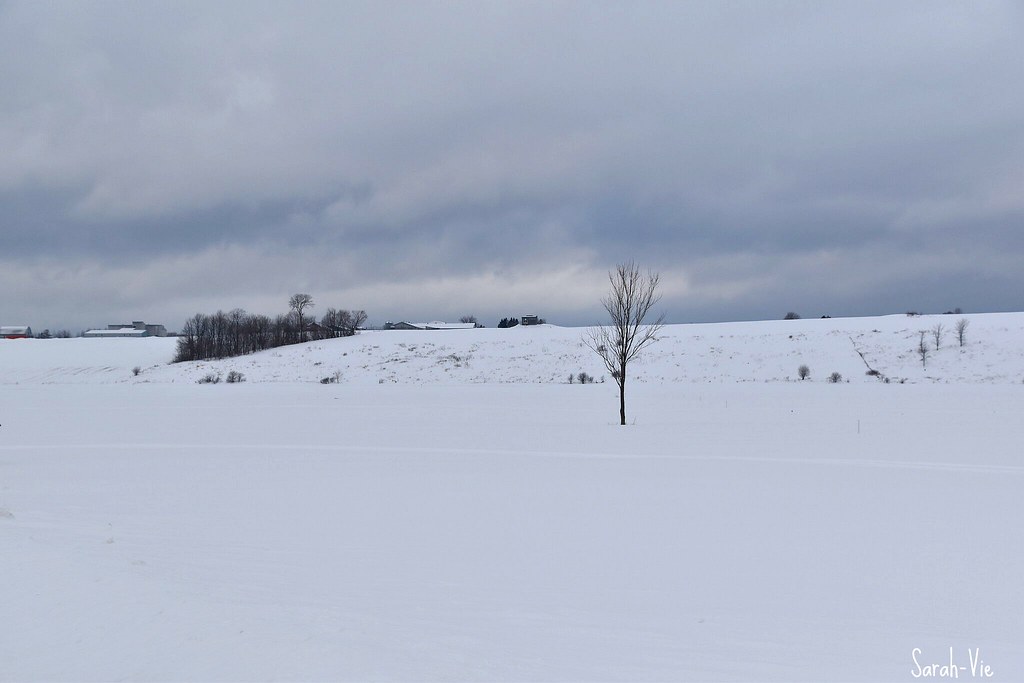 StAugustin de Desmaures SarahVie Flickr