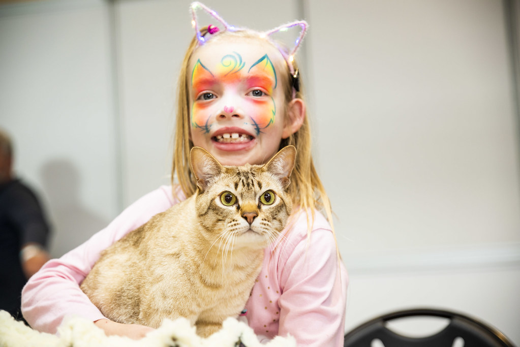 Cat Lovers Show, Melbourne 2019 Flickr