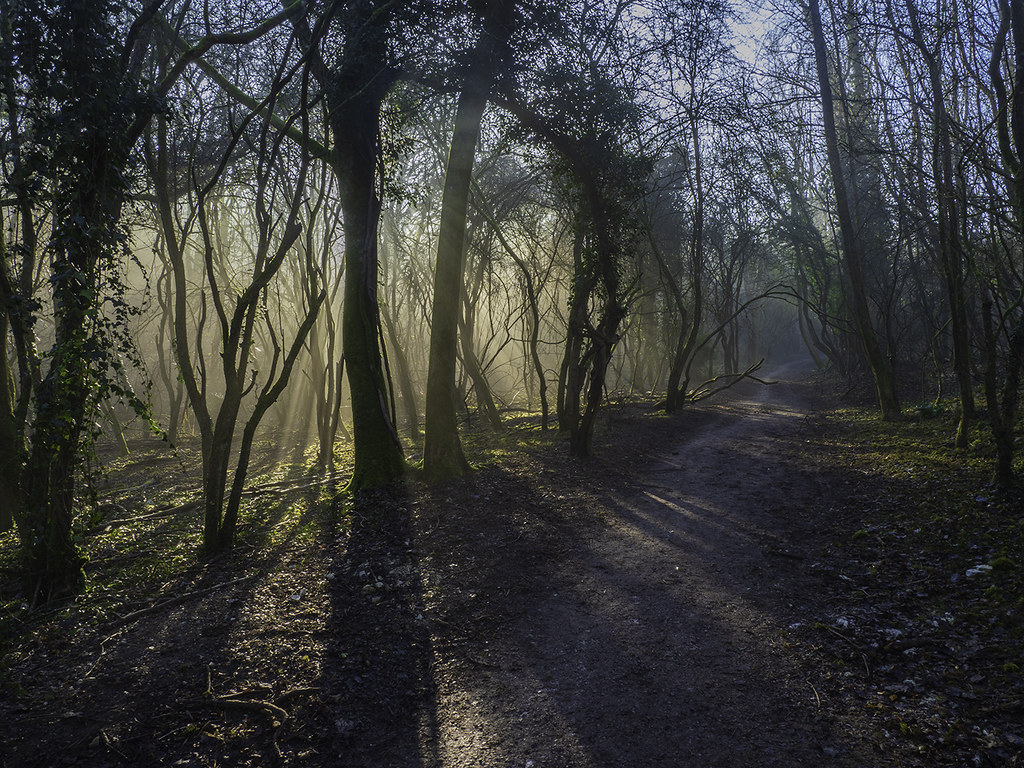LRM187 Caterham, Harestone Valley Road 010Edit copy Flickr