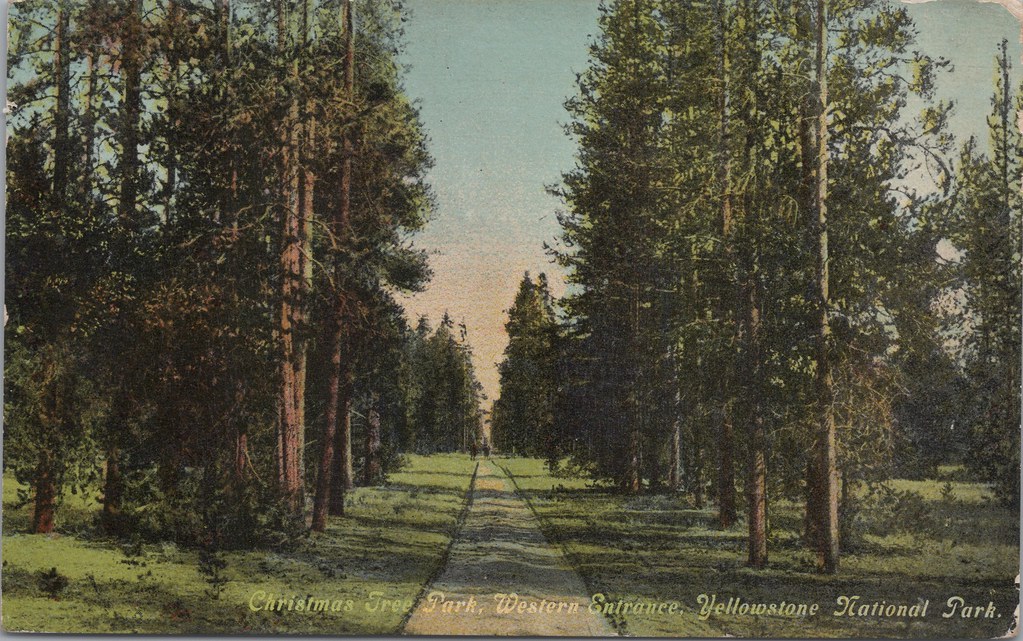 6922 Christmas Tree Park Western Entrance Kyra Lythgoe Flickr