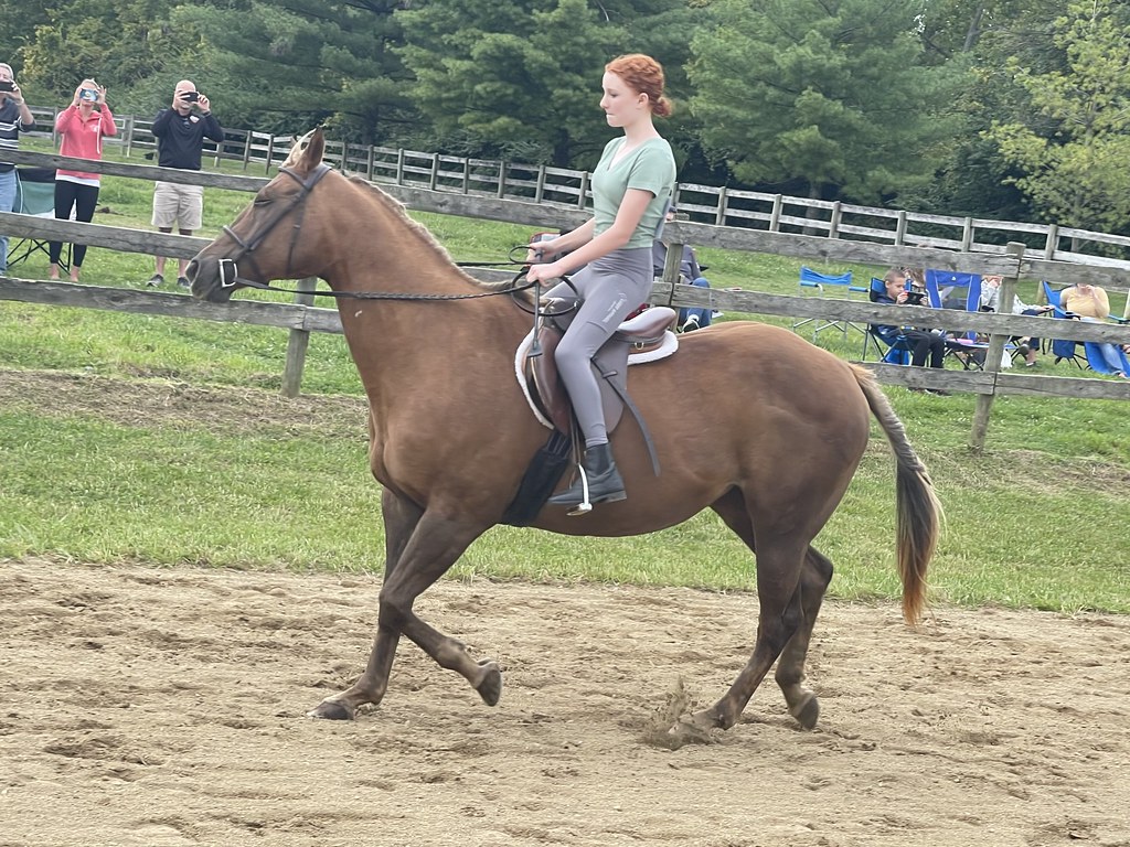 Benefit Horse Show 2022 bolender6 Flickr