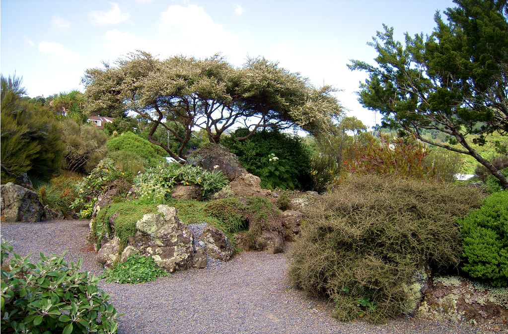 Wellington NZ Otari Native Plant Garden postpanglossian Flickr
