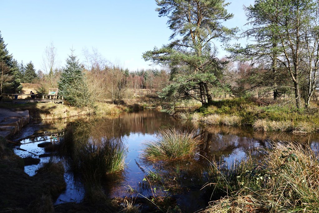 Quarry Pond Quarry Pond Beacon Fell, near Preston. I came … Flickr