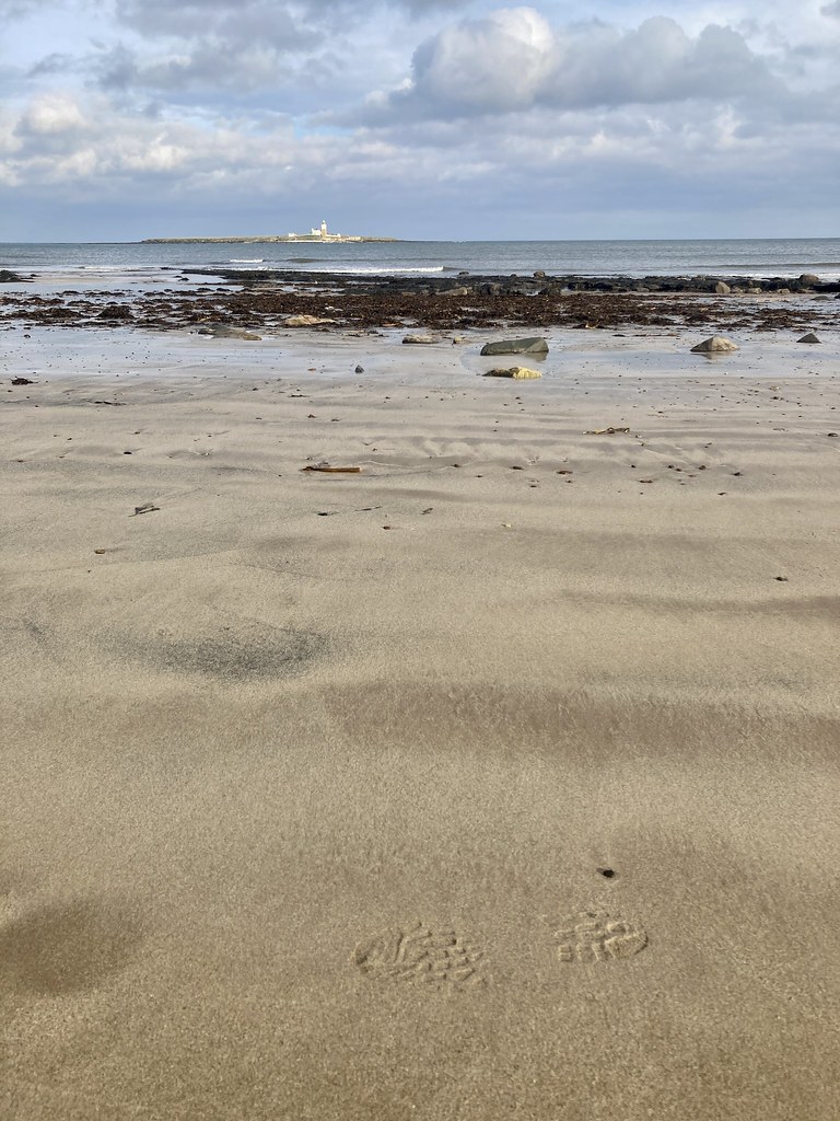 Amble Links and Coquet Island, Northumberland Colin Alexander Flickr
