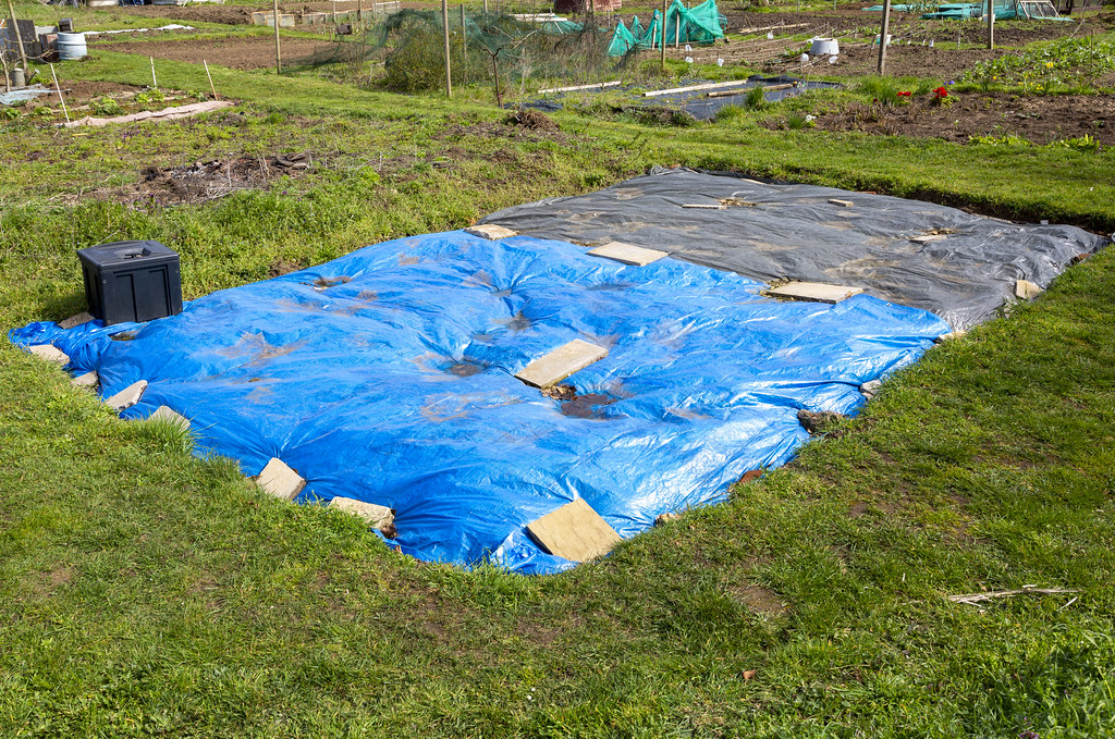 21IDM0581 Tarpaulin sheets used to kill weeds, allotment g… Flickr