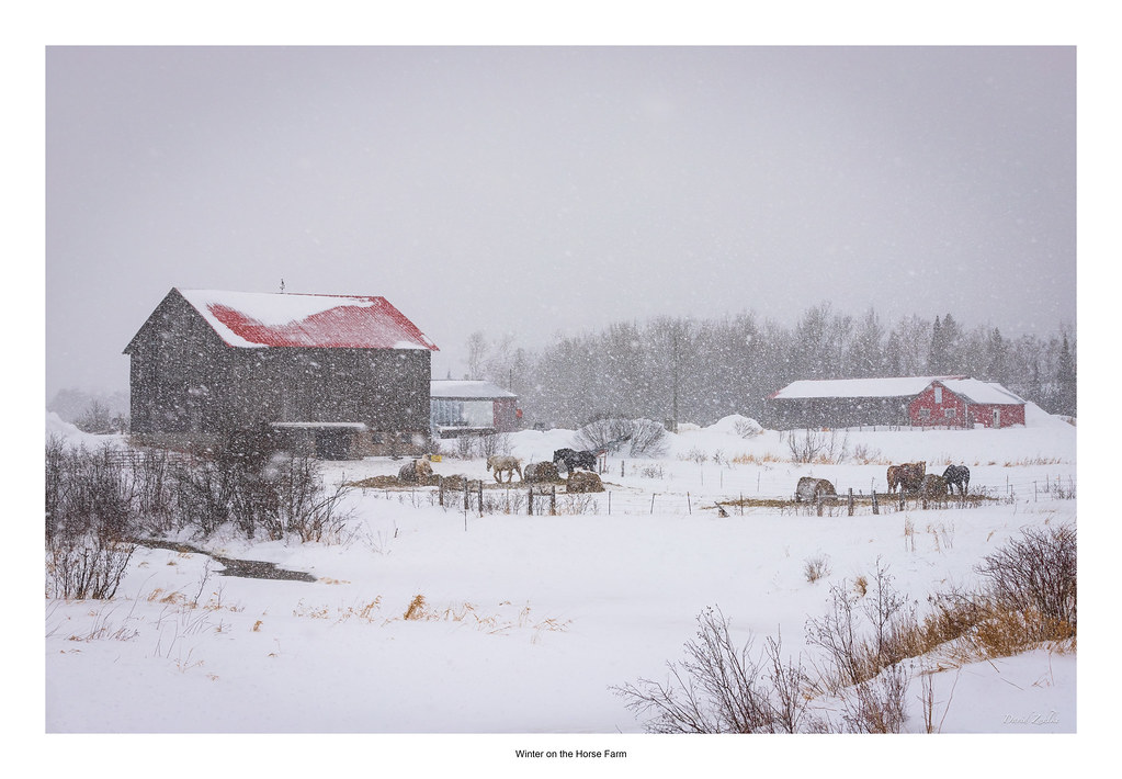 Winter on the Horse Farm Sault Ste. Marie Michigan January… Flickr