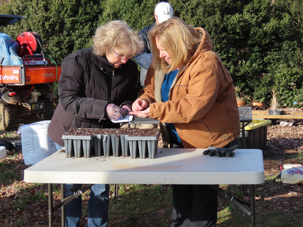 Volunteers Seed sowing The Clifton Institute Flickr