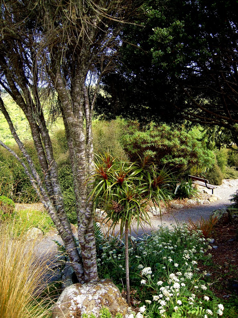 Wellington NZ Otari Native Plant Garden postpanglossian Flickr