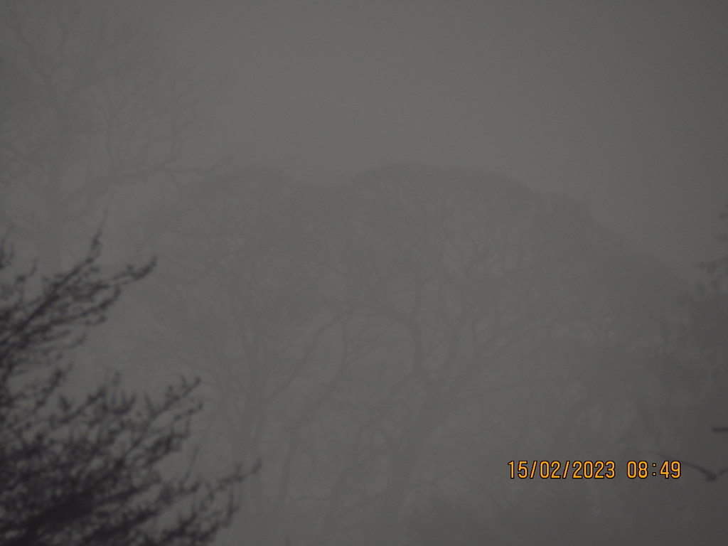 February 2023 Ashford, Kent, United Kingdom. Andrew R Brown Flickr