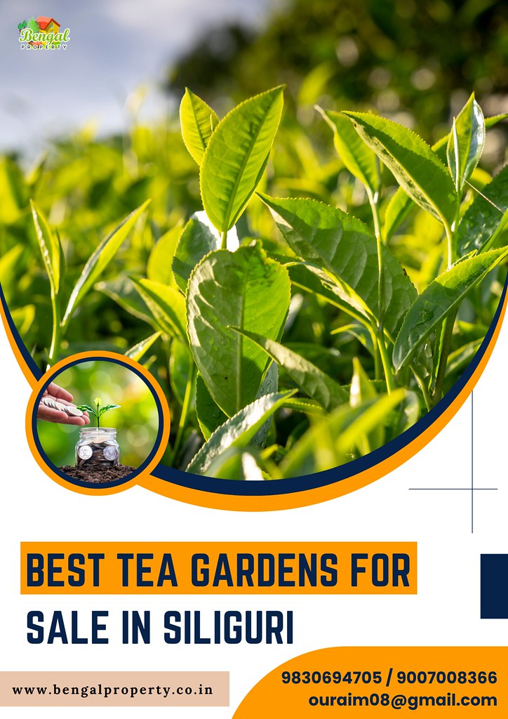Best Tea Gardens For Sale In Siliguri Running tea garden f… Flickr