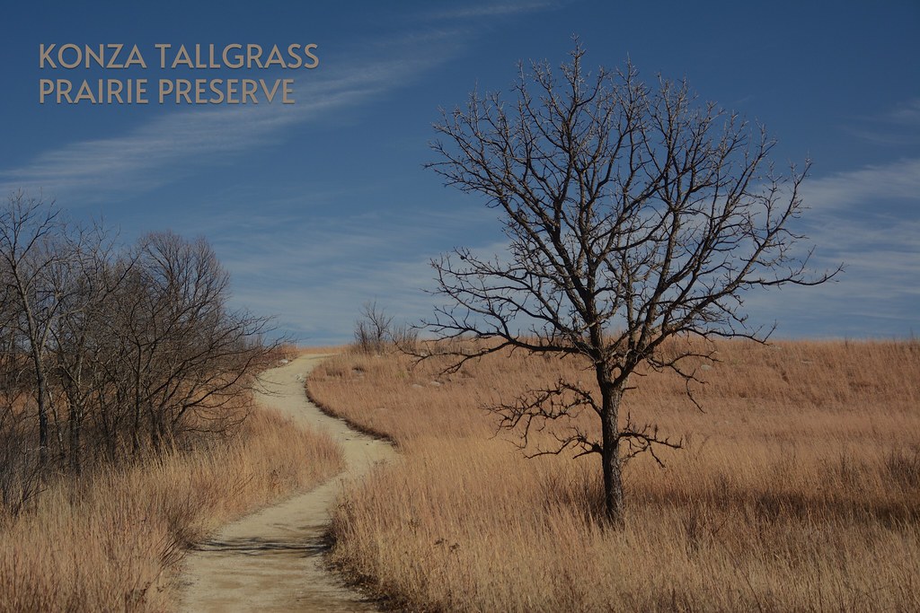 An Evan Post Card Konza Prairie Preserve, Kansas One of N… Flickr