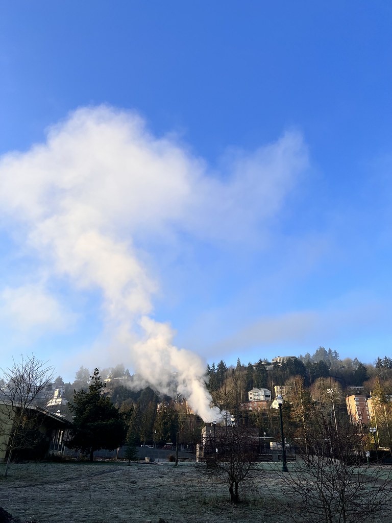 Steam. Portland. February 2023 drburtoni Flickr