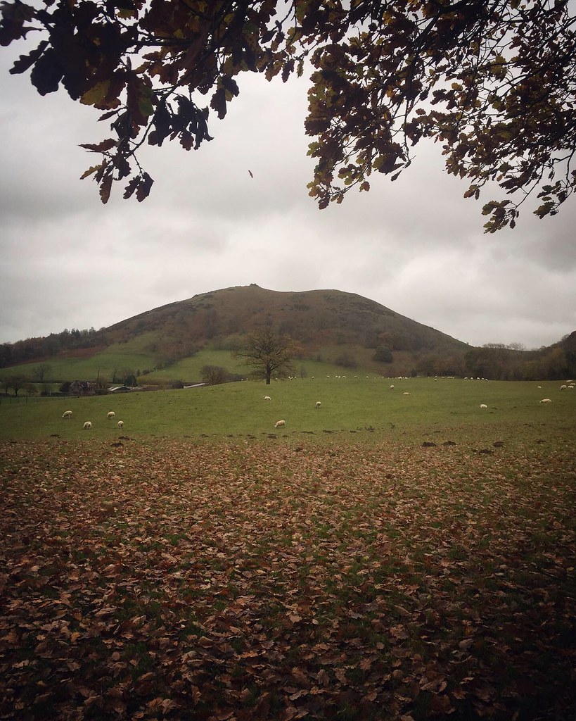 Cae’r Caradog Wild winds in the Shropshire Hills johnny the cow