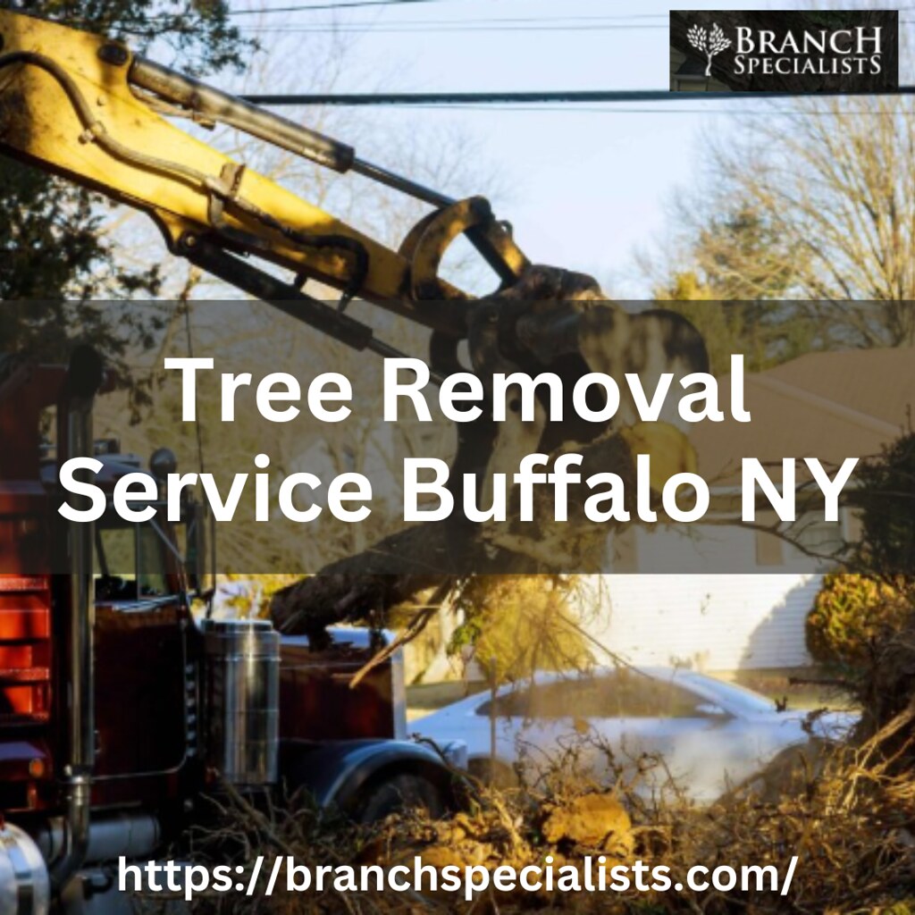 Tree Removal Service Buffalo NY Best Buffalo, New York, tr… Flickr
