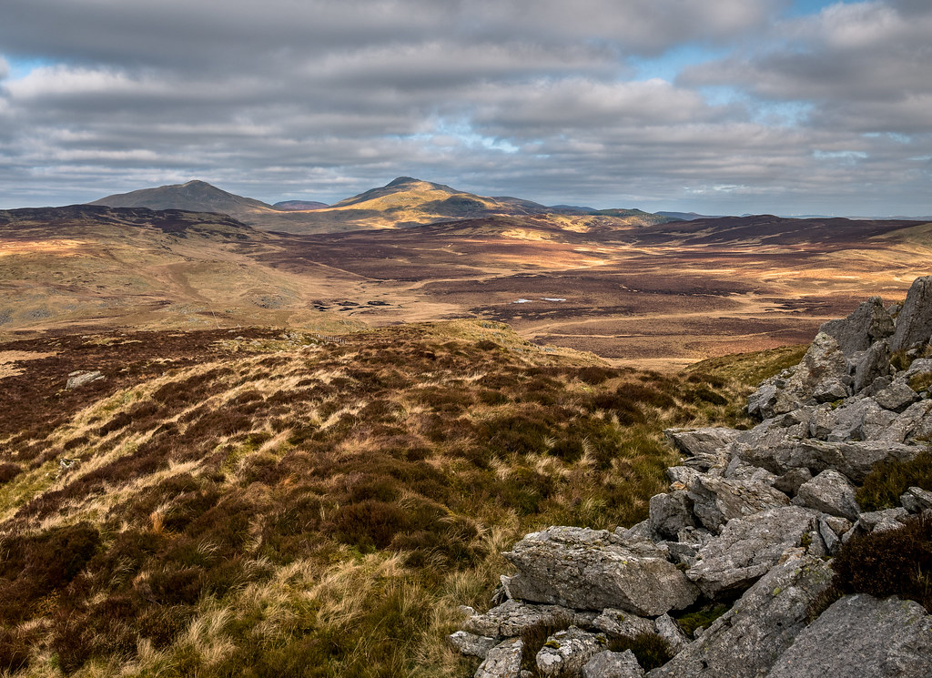 Waun y Griafolen. Moel Llyfnant a'r Arenig Fawr yn y pellt… Flickr