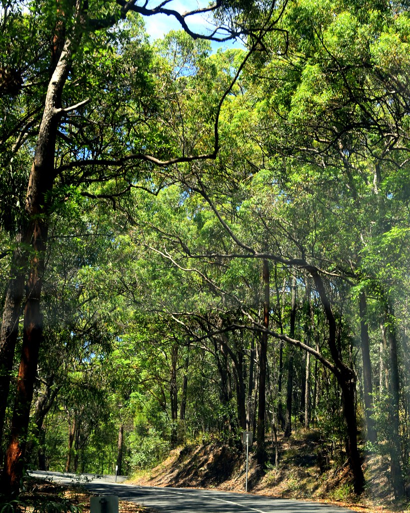 Mount Gravatt Outlook Reserve Flickr