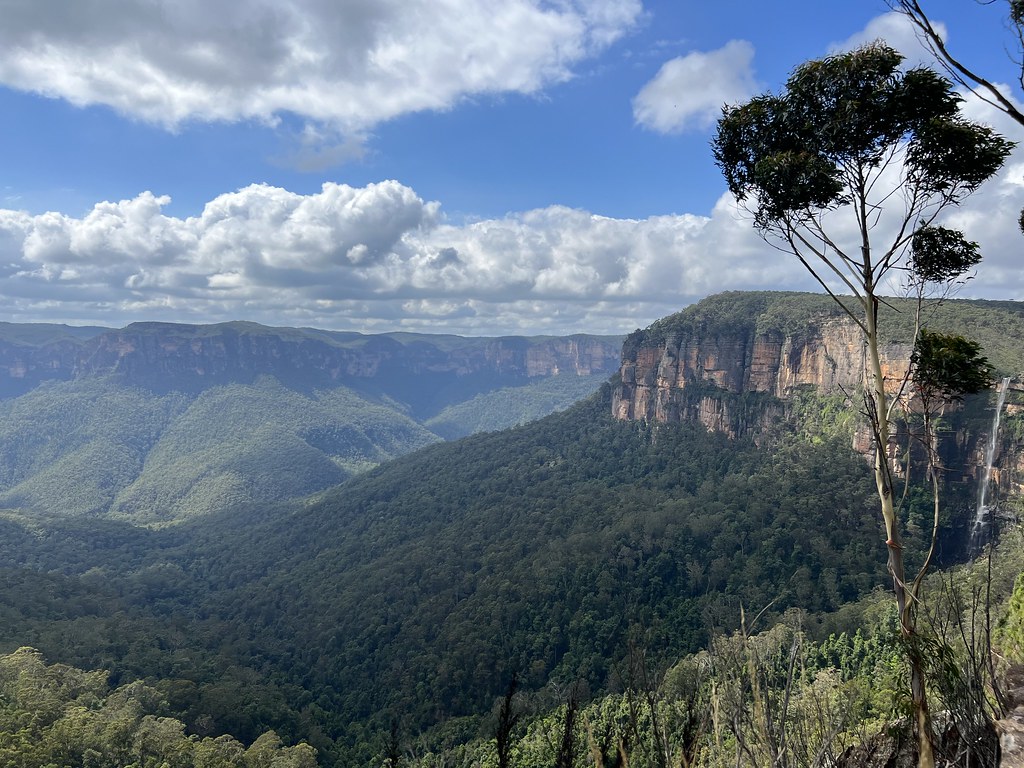 Cliff Top Track, Blackheath Shoba Cole Flickr