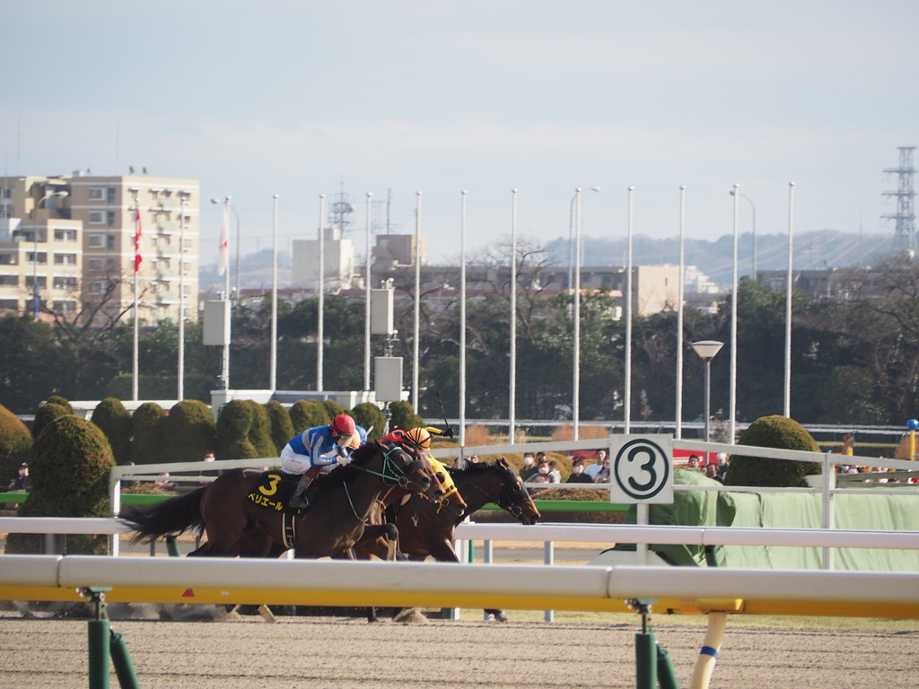 9R Hyacinth stakes (Listed, Japan road to kentucky derby),… Flickr