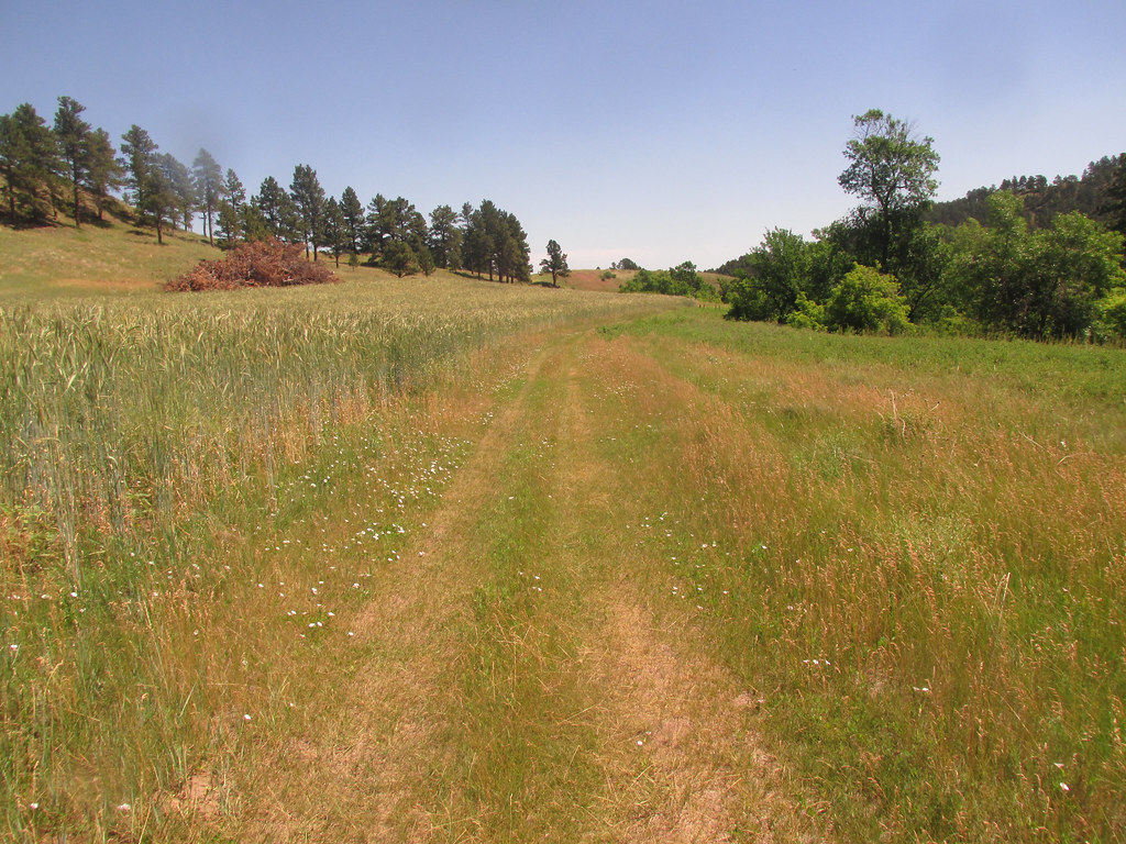 Canyon trail Canyon trail, photographed at Monroe Canyon (… Flickr