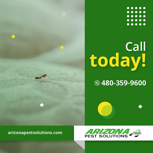 Best Pest Control near Me Best Pest Control near Me Flickr