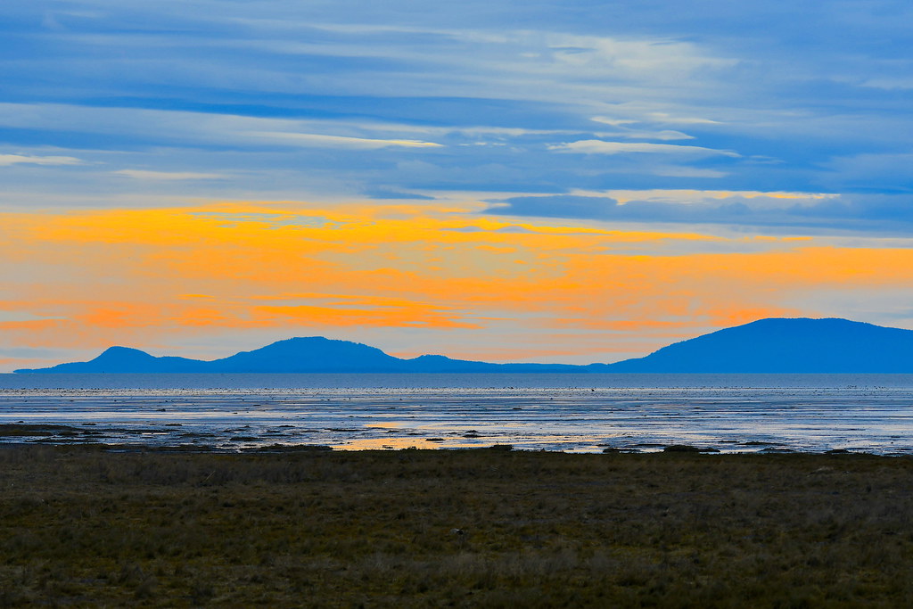 Boundary Bay Boundary Bay, Delta, B.C. Neal Flickr