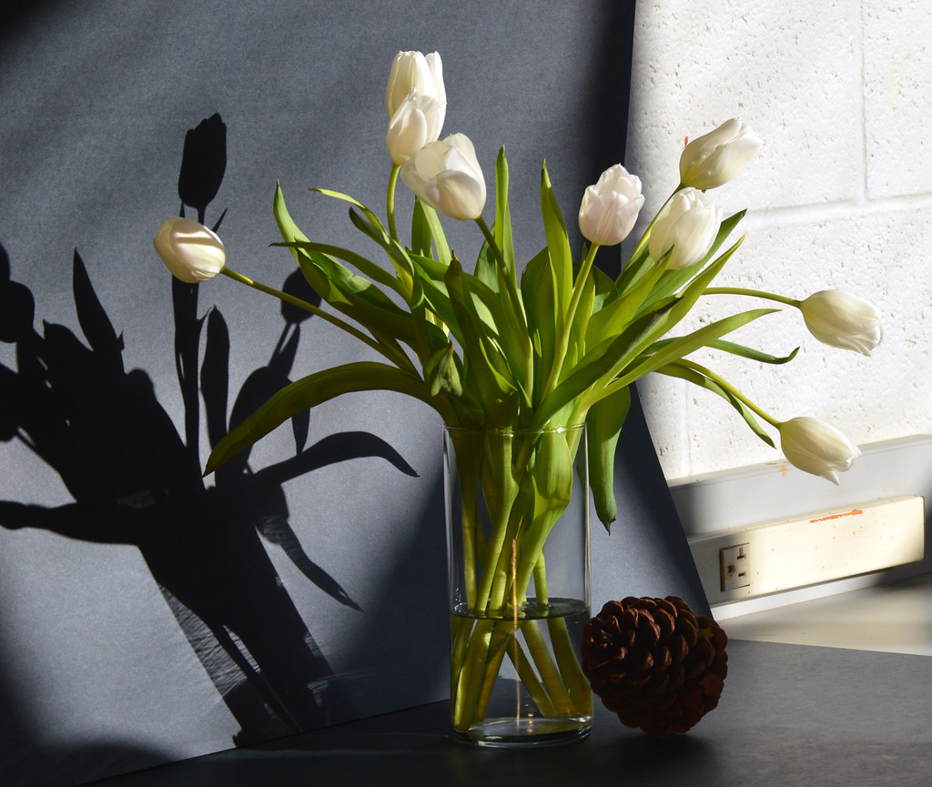 still lifeflowers Eryn FaulknerSutton Flickr