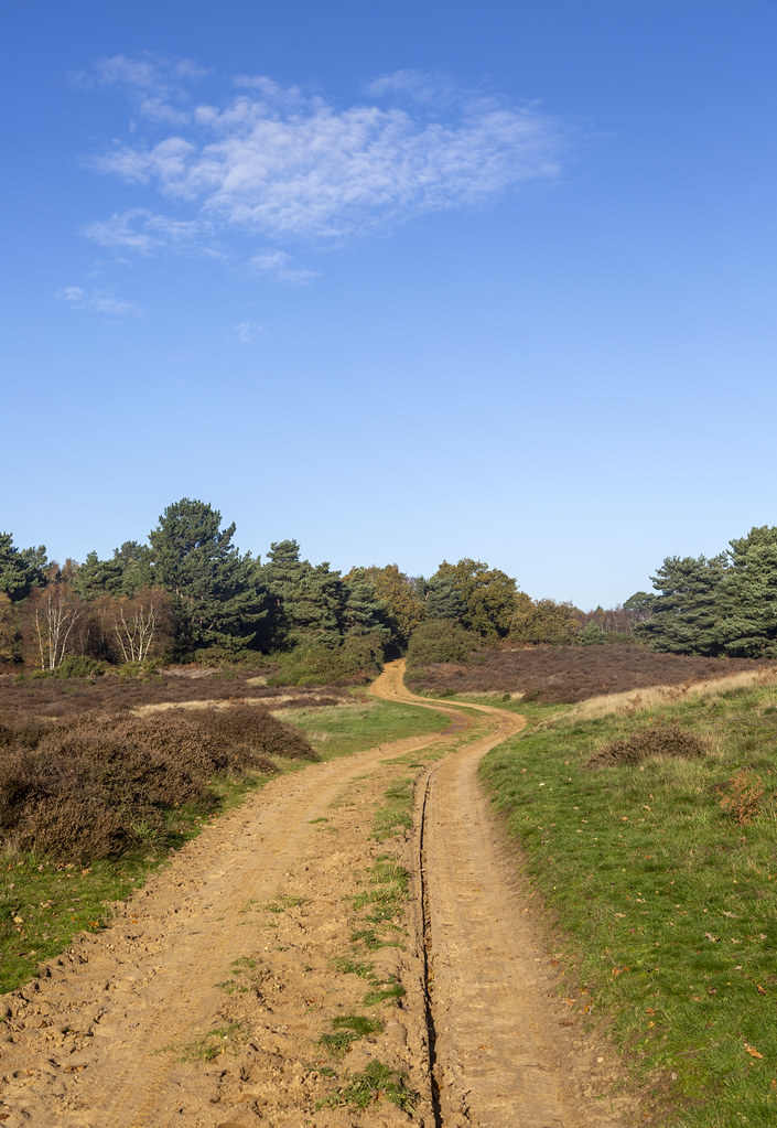 20IDM2725 Sandy track road crossing heathland vegetation S… Flickr