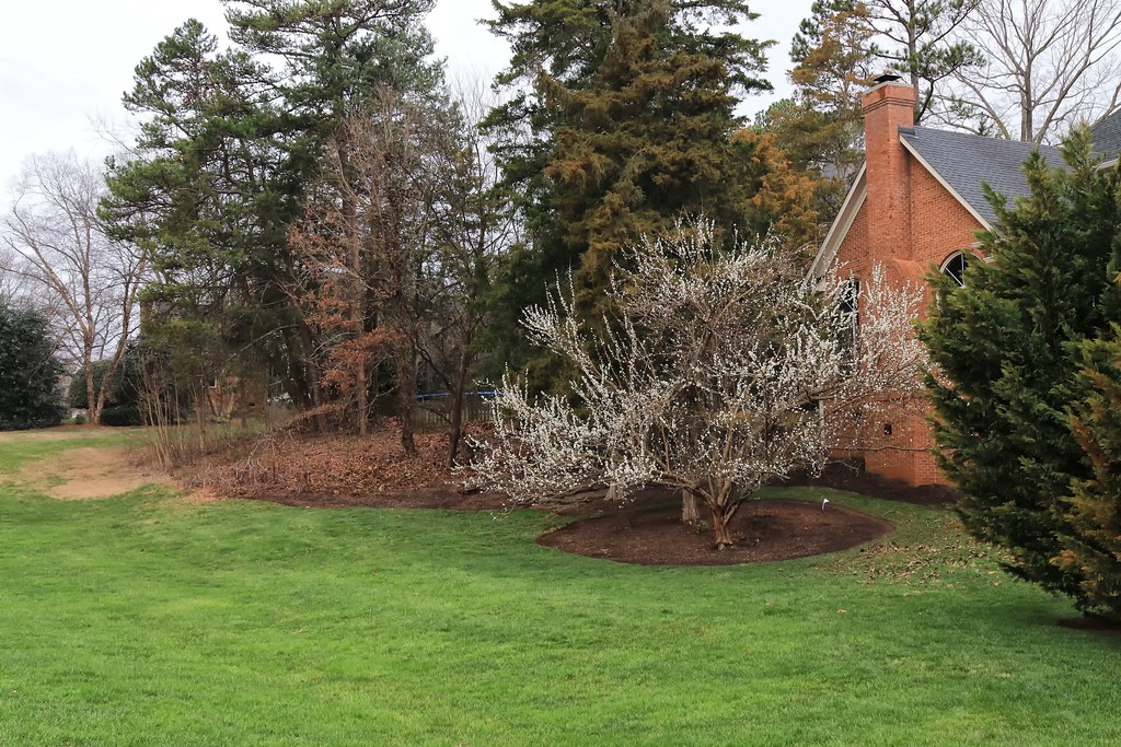 022023 GRIGSBY CHAPEL GREENWAY, FARRAGUT TN Flickr