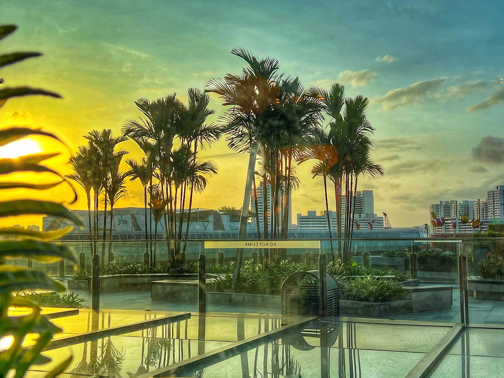 Jurong East Jurong East cattan2011 Flickr