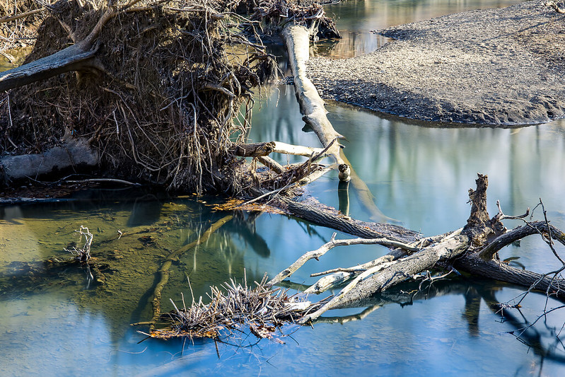 Montour Trail, part 2 The Newtown Pentacle