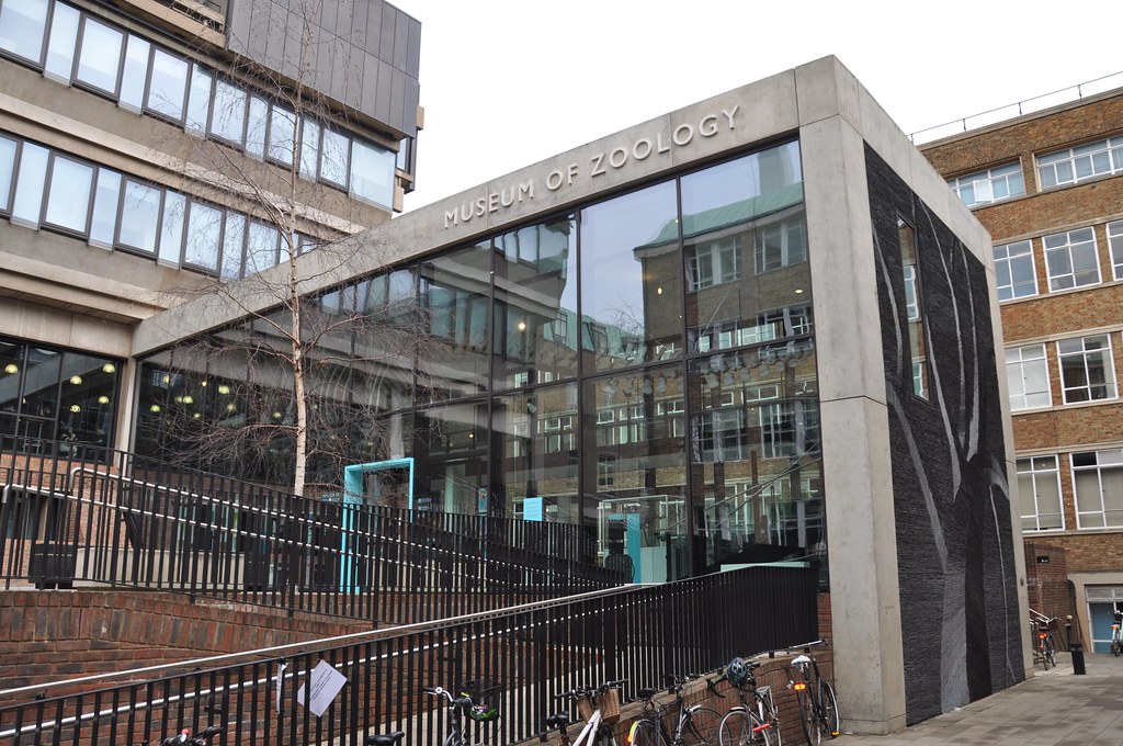 Cambridge University Museum Of Zoology 01 Simon Flickr