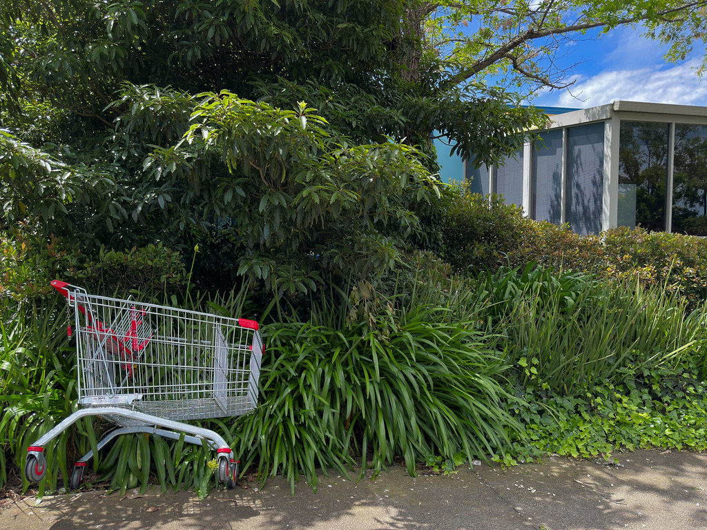 Deer Park, Melbourne, Victoria, Australia. 20221106 142… Flickr