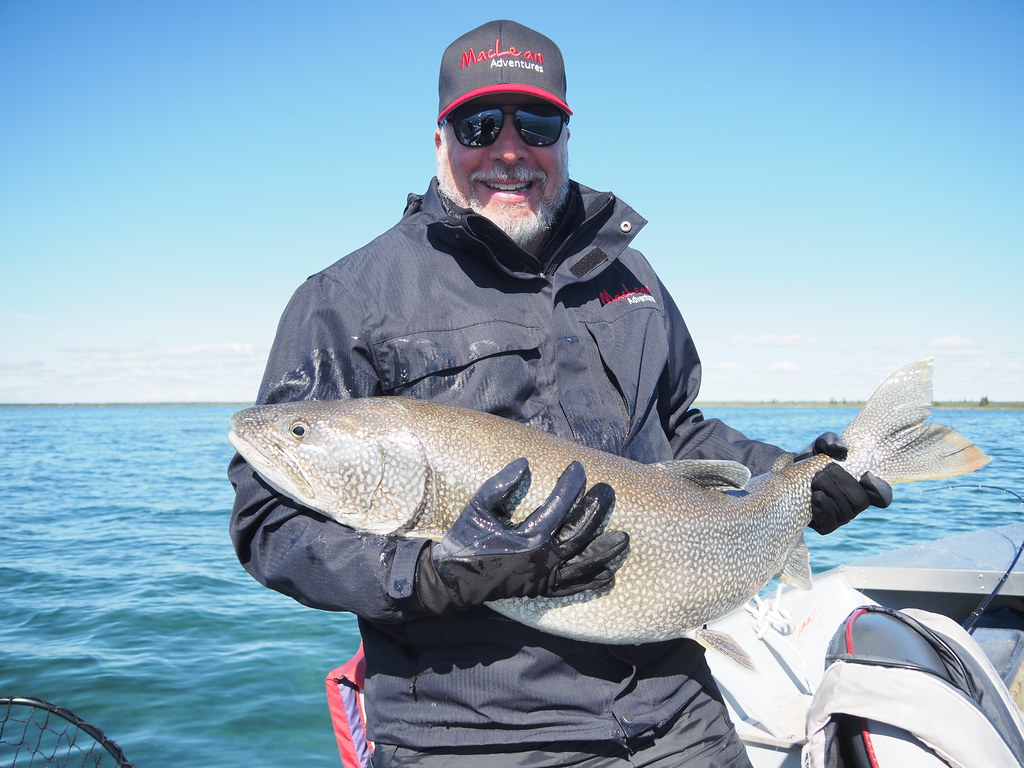 20220720 Great Bear Lake (6) Great Bear Lake July 2022 Flickr