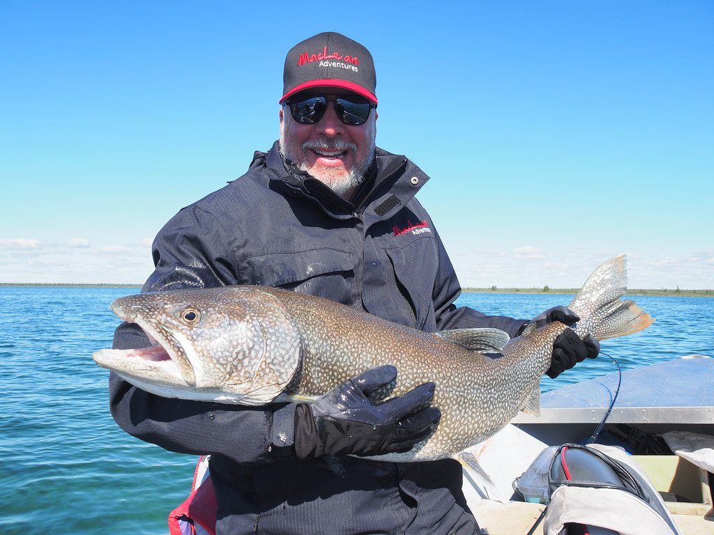 20220720 Great Bear Lake (9) Great Bear Lake July 2022 Flickr