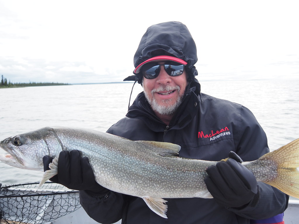 20220719 Great Bear Lake (4) Great Bear Lake July 2022 Flickr