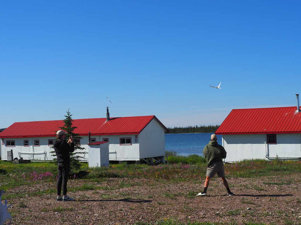 20220716 Great Bear Lake (47) OLYMPUS DIGITAL CAMERA Flickr